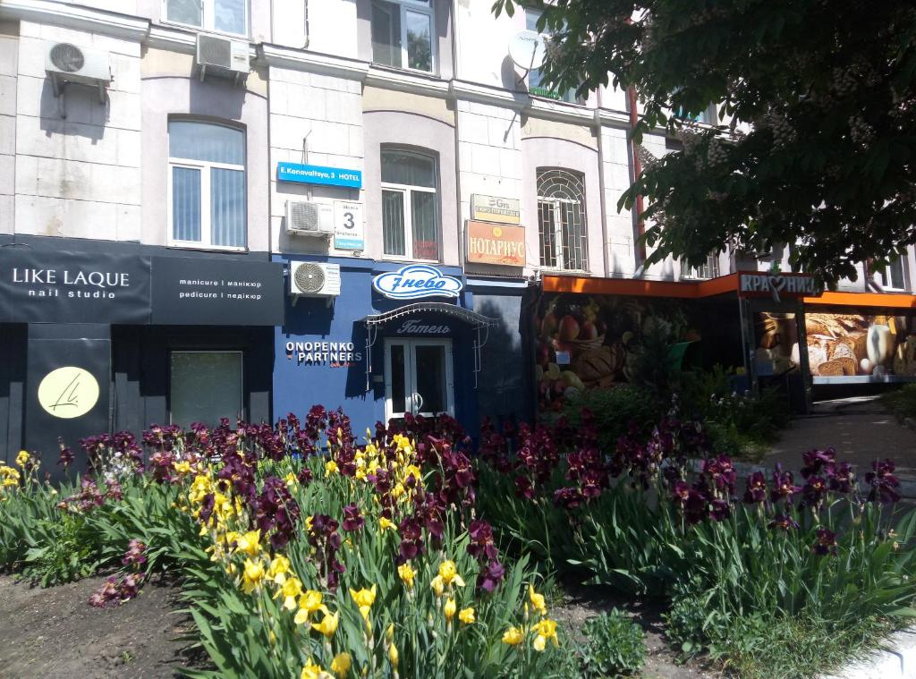 a garden of flowers in front of a building at 7 Sky on Shchorsa Street in Kyiv