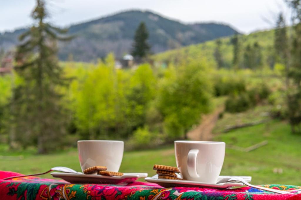 Príroda v okolí apartmánu