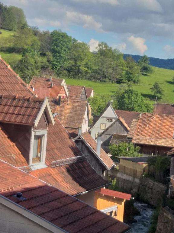 Příroda nedaleko hotelu