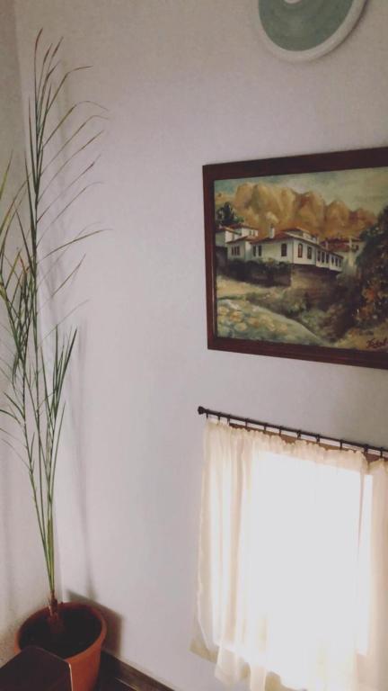 Fotografie z fotogalerie ubytování Guesthouse White Margarit v destinaci Melnik