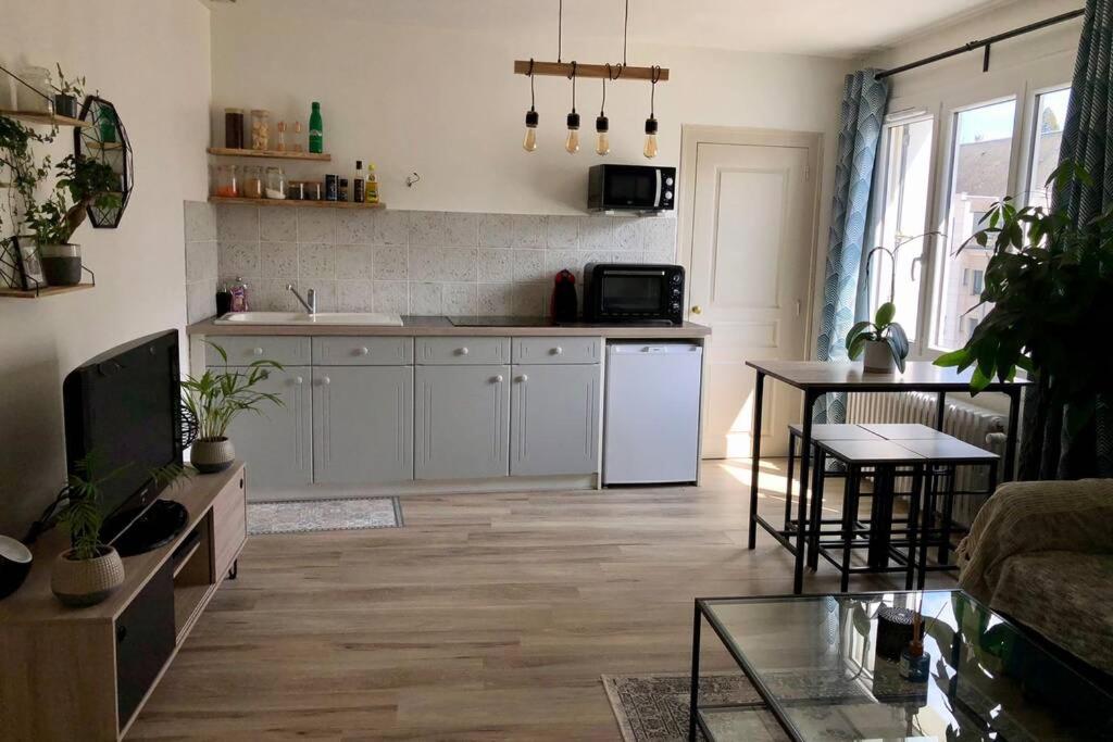 Appartement cosy centre ville de Blois - Квартира с одной спальней