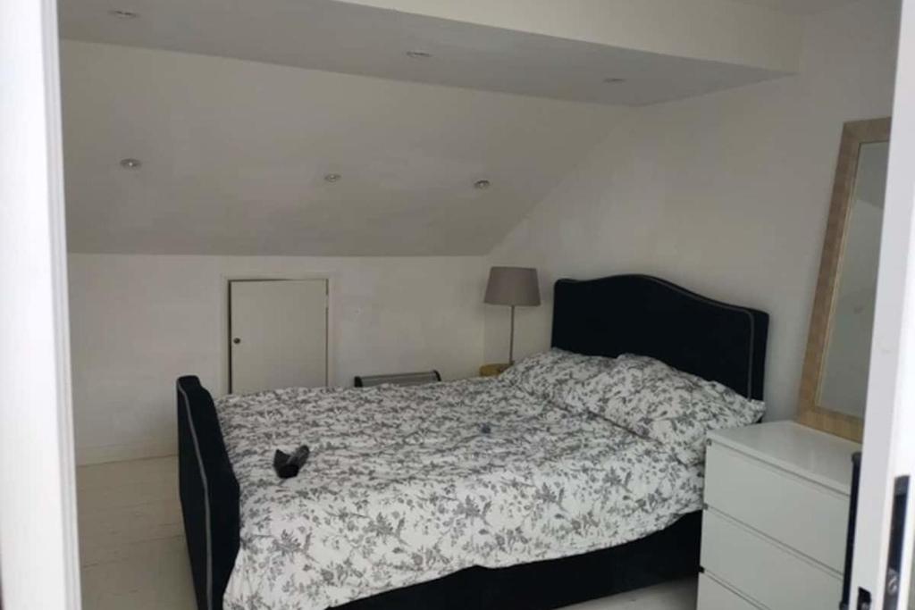 Unique 1 Bedroom Apartment in Acton