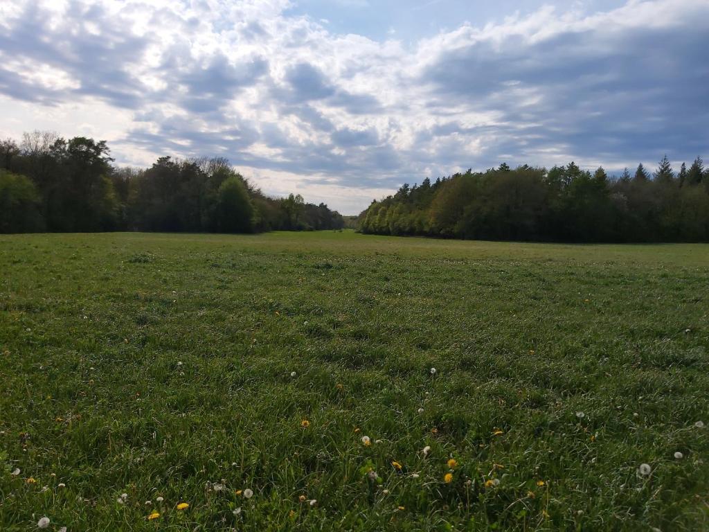 Příroda nedaleko chaty