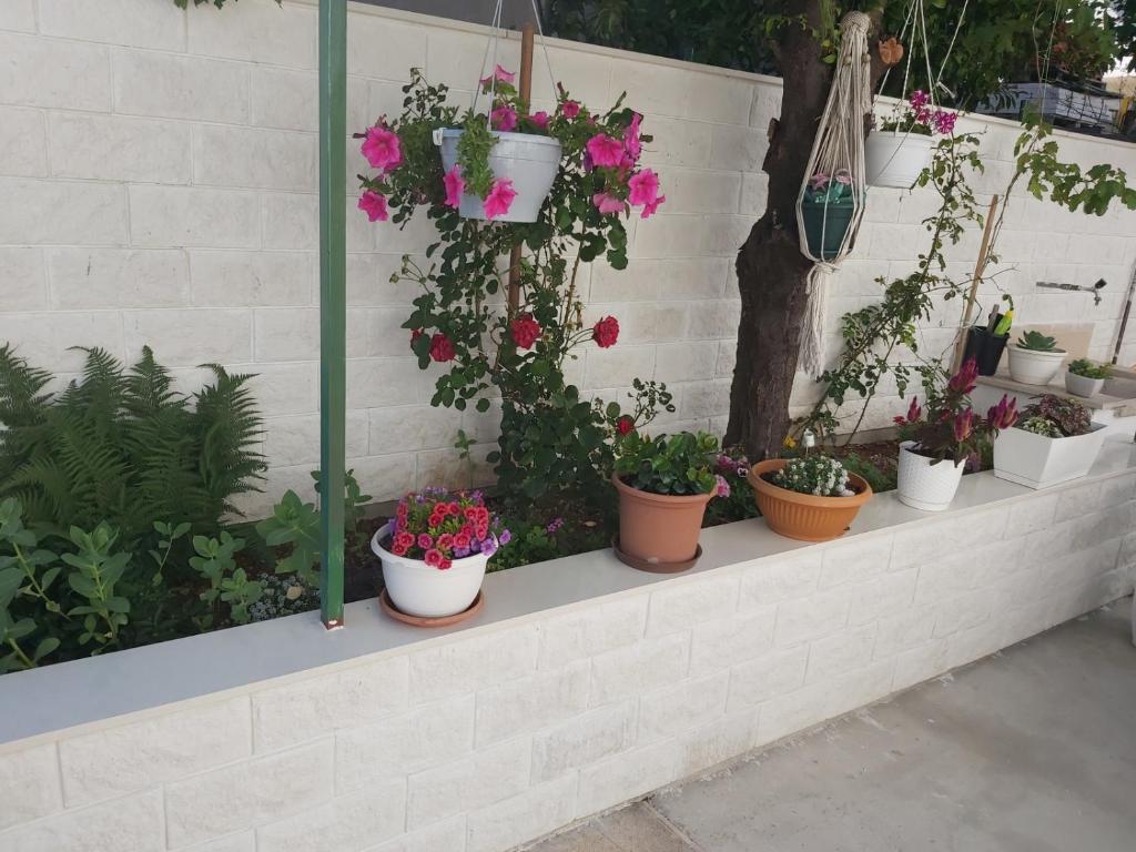Vonkajšia záhrada v ubytovaní Studio Apartment in Hvar Town with Balcony, Air Conditioning, Wi-Fi, Dishwasher (4858-1)