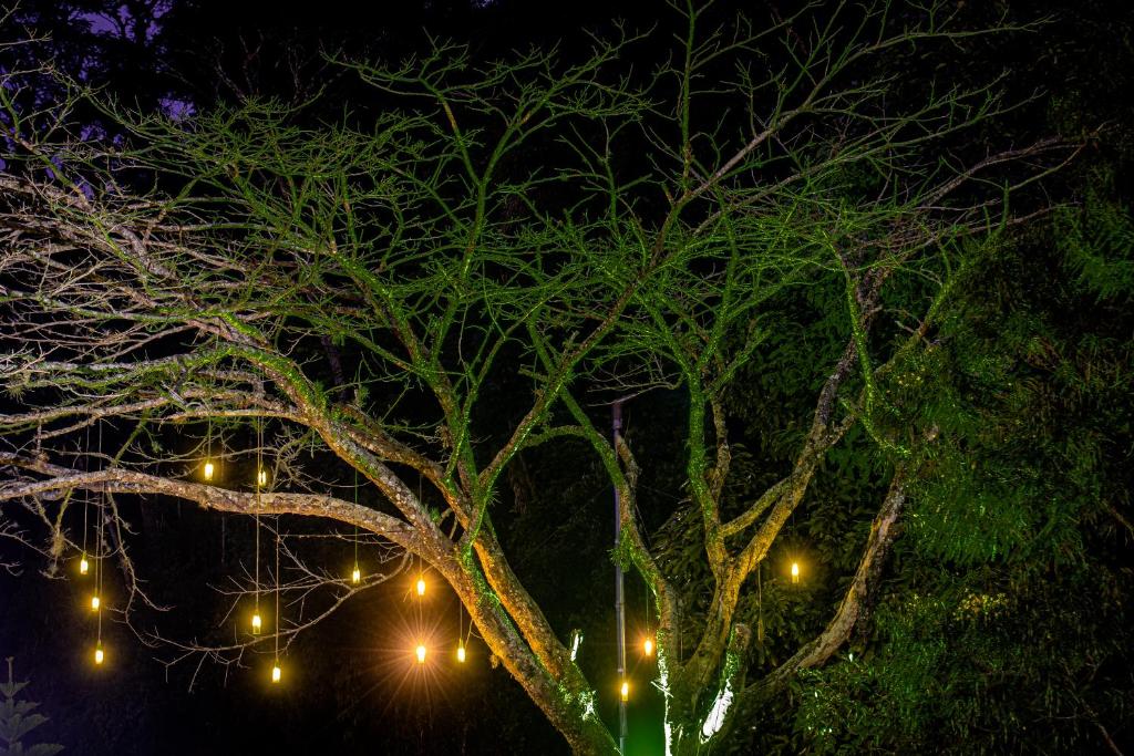  Hotel Fazenda Santa Barbara