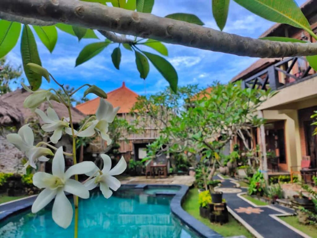 a view of a resort with a swimming pool at Satria Bungalow in Uluwatu