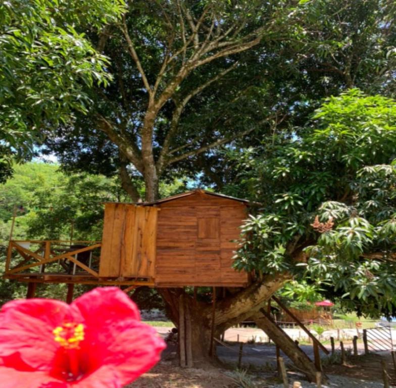 Zahrada ubytování Eco-Glamping Shalom