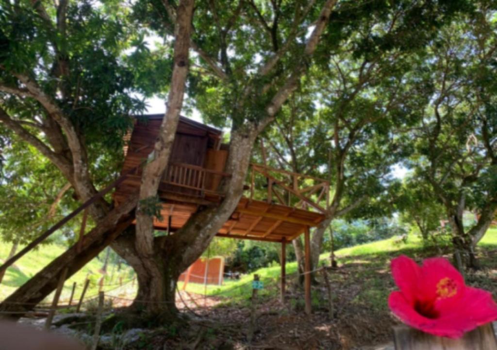 Zahrada ubytování Eco-Glamping Shalom