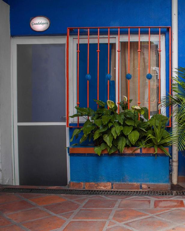 Fotografie z fotogalerie ubytování Chanclas Hostel Vallarta v destinaci Puerto Vallarta