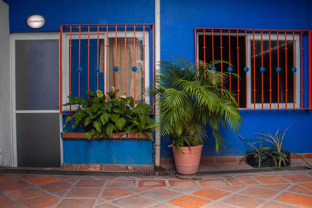 Fotografie z fotogalerie ubytování Chanclas Hostel Vallarta v destinaci Puerto Vallarta