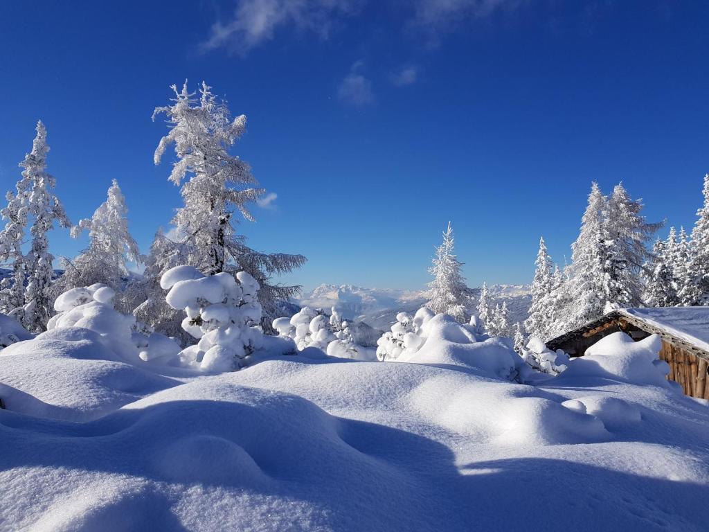 シュラートミンクにあるAppartement Güntherの雪に覆われた木々とキャビンのある雪林