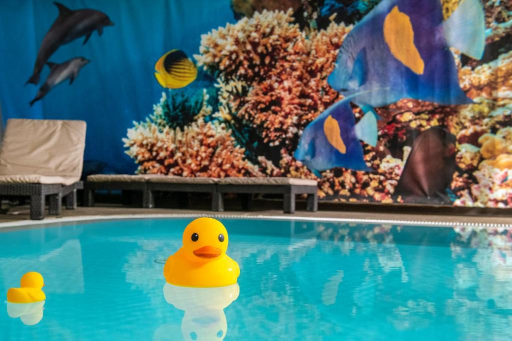 Bazén v ubytování Oxigén Family Hotel Noszvaj nebo v jeho okolí