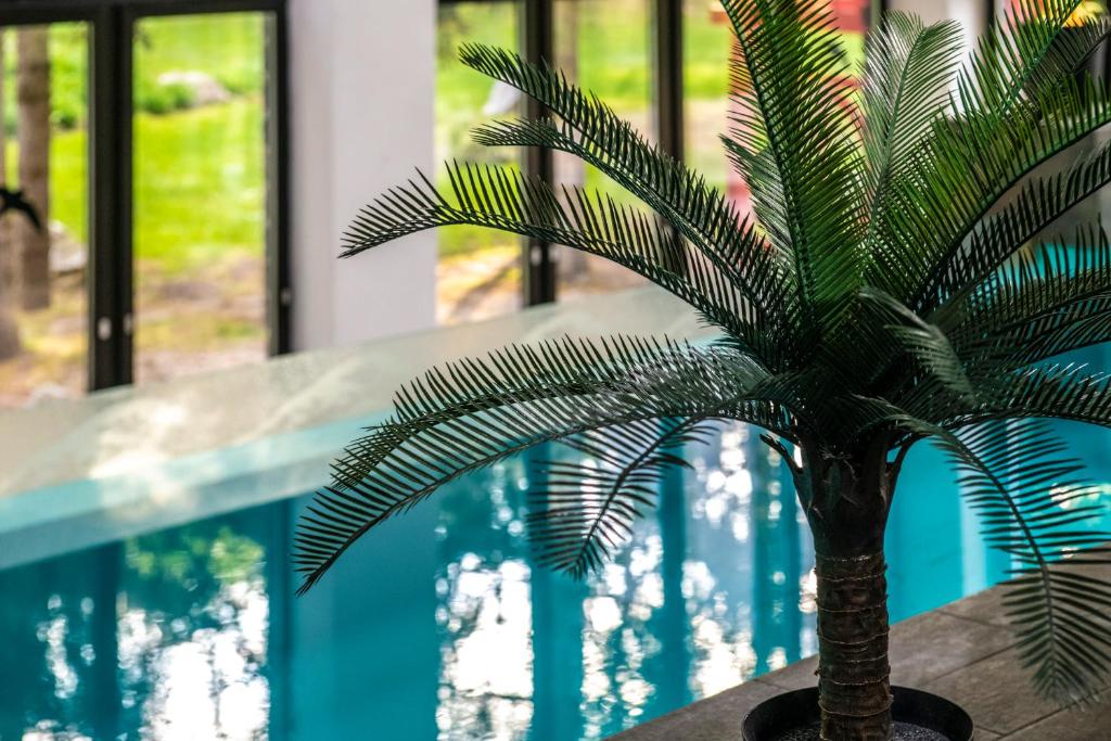 Bazén v ubytování Oxigén Family Hotel Noszvaj nebo v jeho okolí