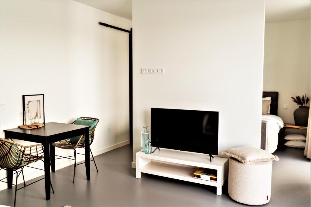 TV a/nebo společenská místnost v ubytování B&B Ganzendiep aan het water