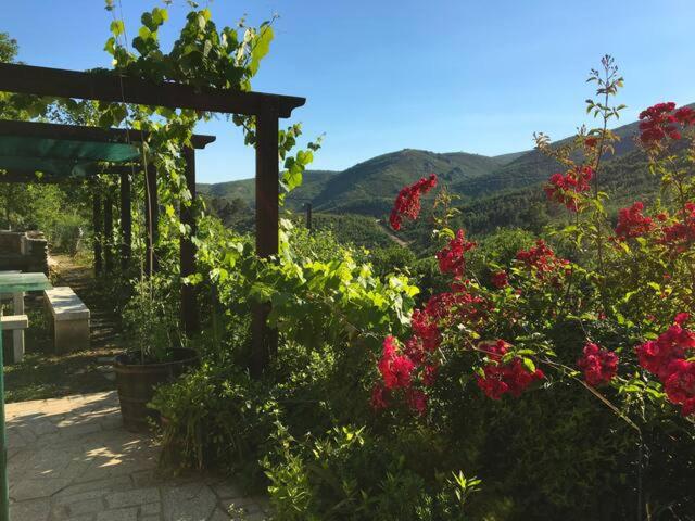 Retiro Da Arminda - Deluxe Double Room With Shower