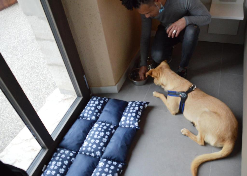 Borgo Stazione Bike Inn - 3