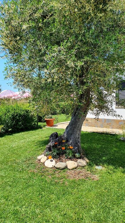 Zahrada ubytování Villa Leone