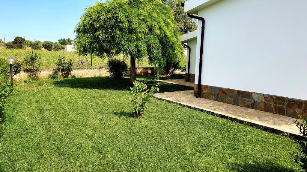 Zahrada ubytování Villa Leone