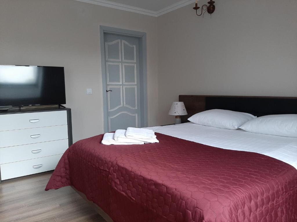 カリーニングラードにあるГОСТИНИЦА MAXIM'sのベッドルーム1室(赤毛布、テレビ付)