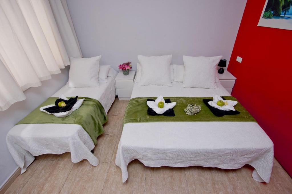 Barcelona City North Hostal - Double Or Twin Room With City View