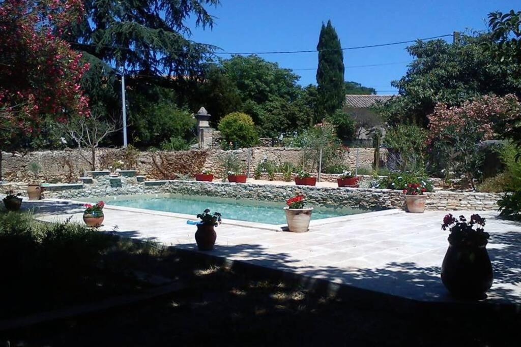 - une piscine avec des plantes en pot dans une cour dans l'établissement Sous la Tonnelle, maison de vacances, à Murviel