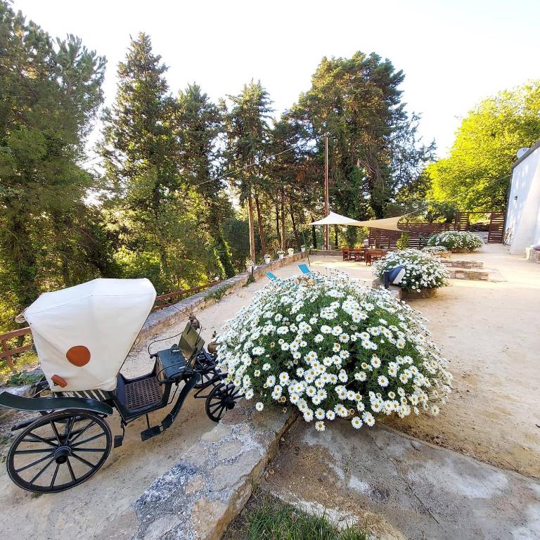 Zahrada ubytování Chiosi Country Club