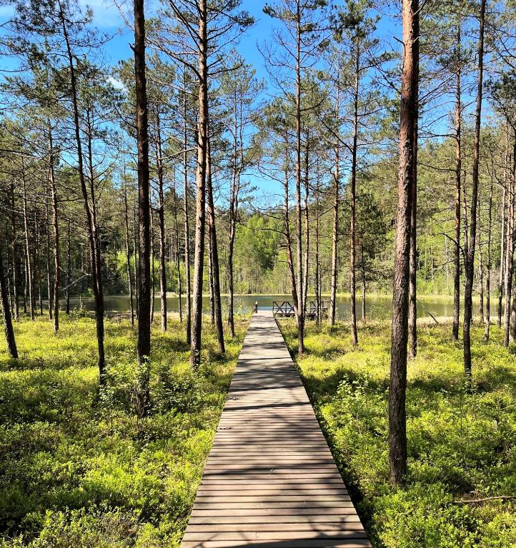 a wooden path through a forest with trees at Vidugiris Lake in Vilkariai