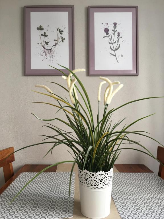 Apartment Pension Sternchen - 14