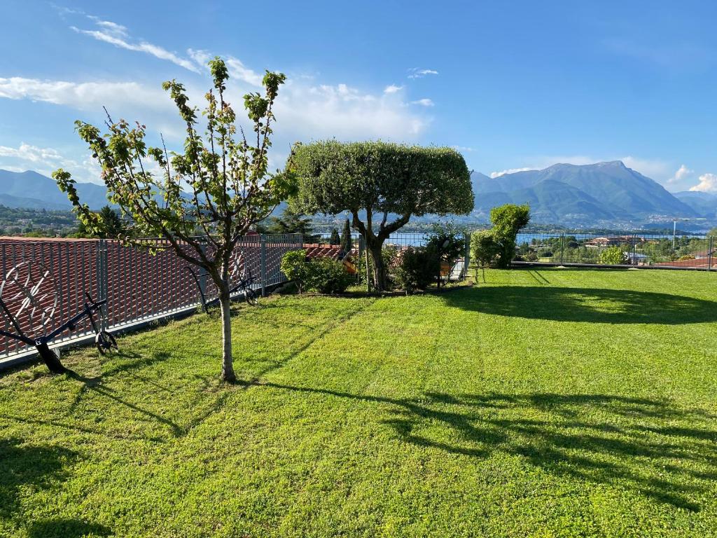 a green yard with two trees and mountains in the background at Flowers & garden apartment con vista lago in Manerba del Garda