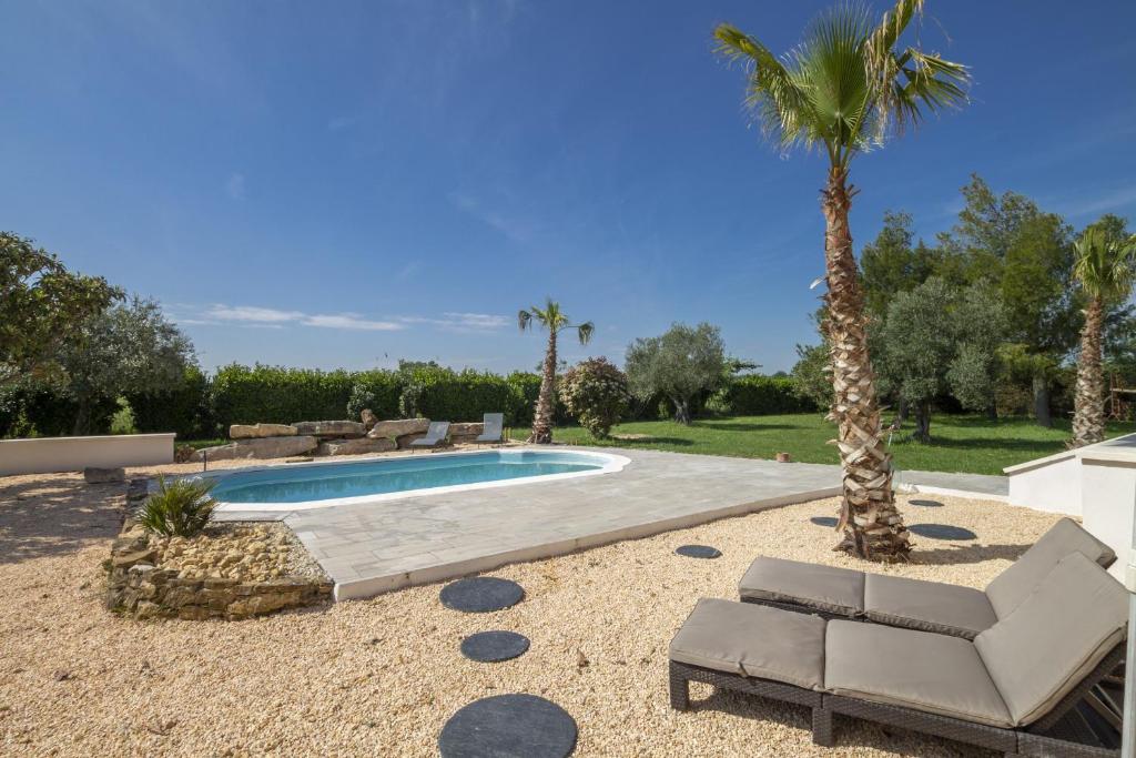 un palmier installé à côté d'une piscine dans l'établissement Villa les Buisses, à Piolenc