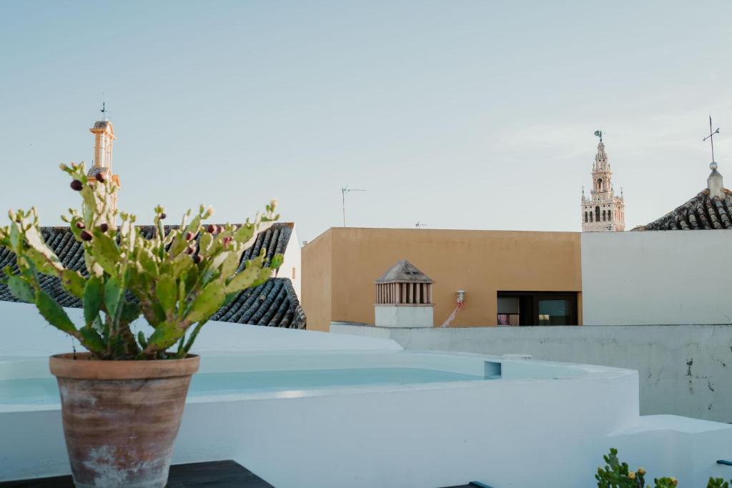 MDD4 Health Experience Hotel - Adults Only