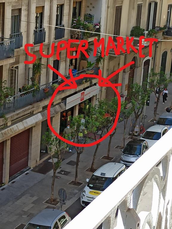 HOUSE of COLORS - 15