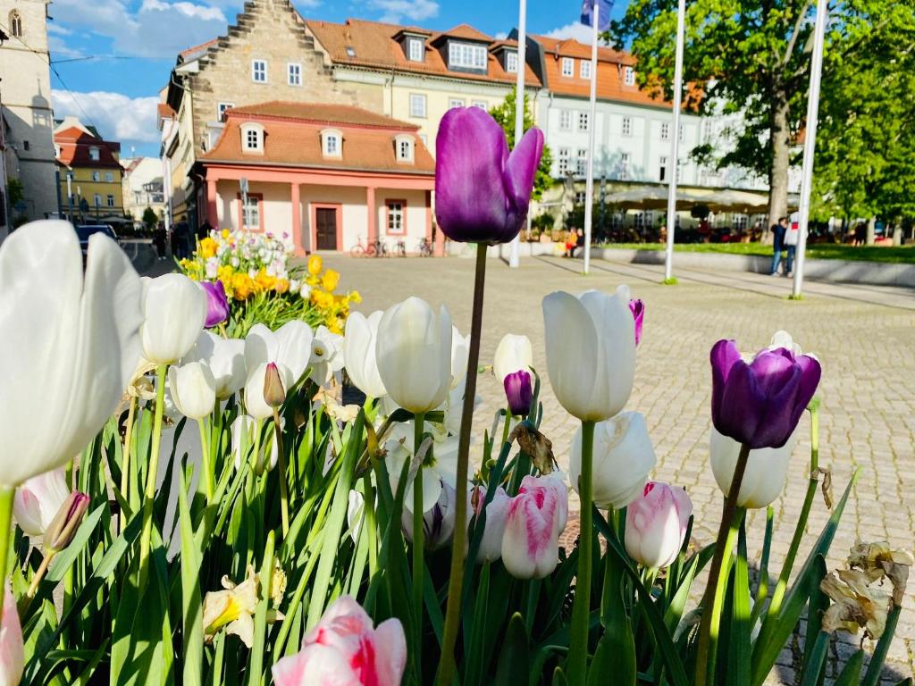 Giardino di Bärliner Hotel