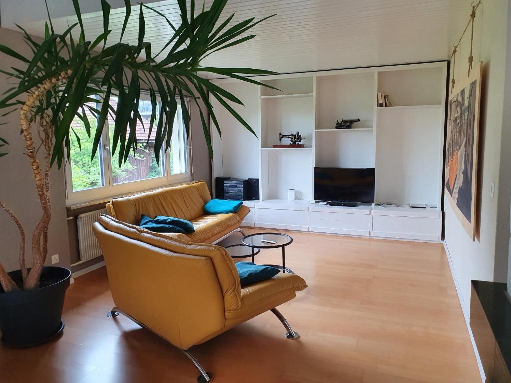 een woonkamer met twee banken en een plant bij Gästehaus Luma in Egerkingen