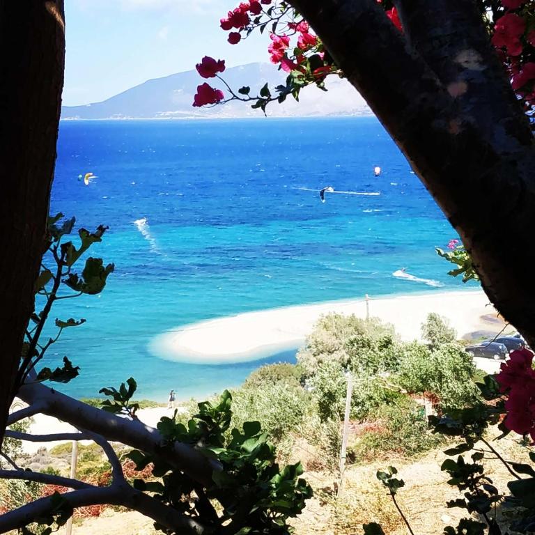 a view of the beach from a tree at Marmari megali ammos oasis studio's in Ayía Marína