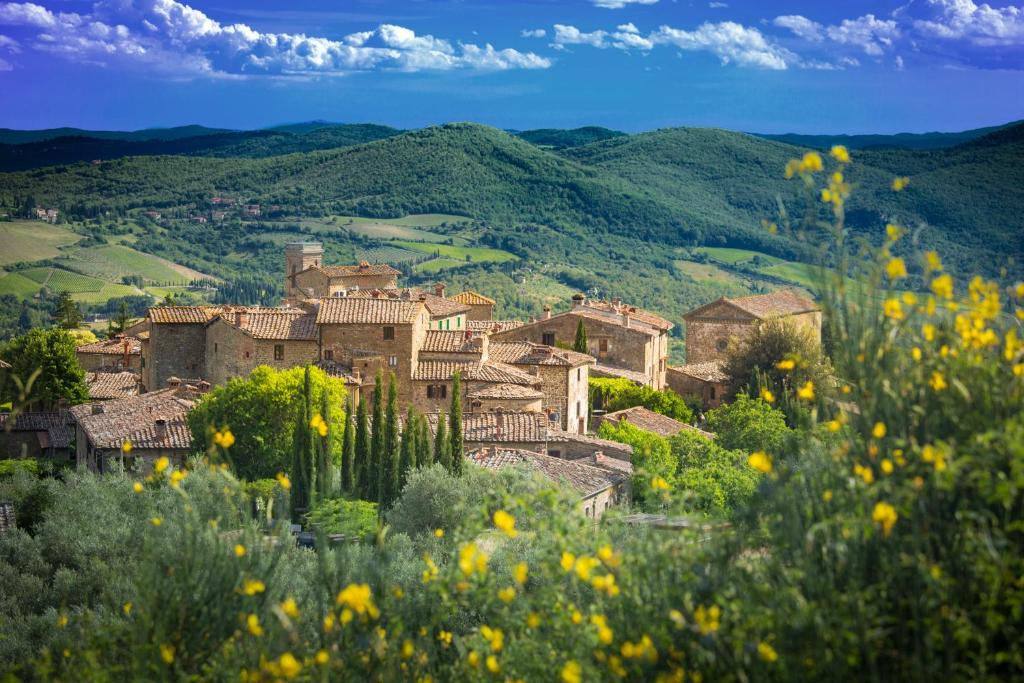 a village on a hill with flowers in the foreground at Castello di Volpaia in Radda in Chianti