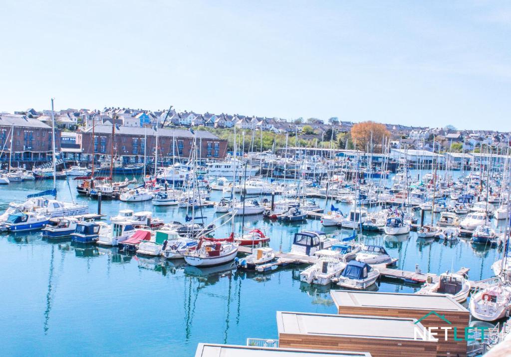 a bunch of boats are docked in a harbor at Vanguard House, Milford Marina in Milford Haven