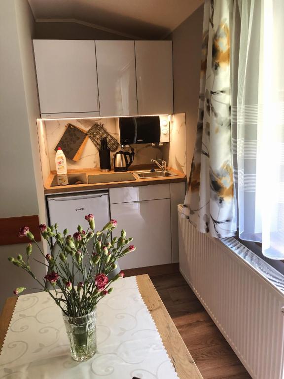 Kuchyň nebo kuchyňský kout v ubytování Pokoje Beata