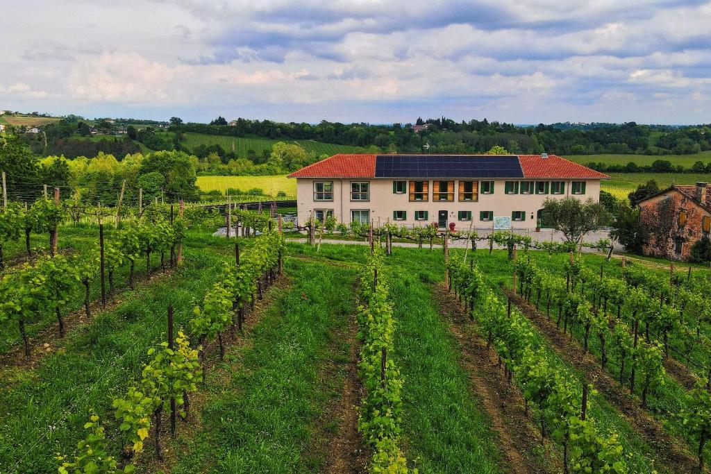 Gallery image of Tenuta Mani Sagge in San Pietro di Feletto