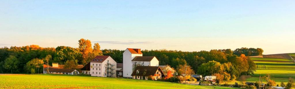 a large house on a green field with trees at Boardinghaus Kastlmühle in Stelzhof