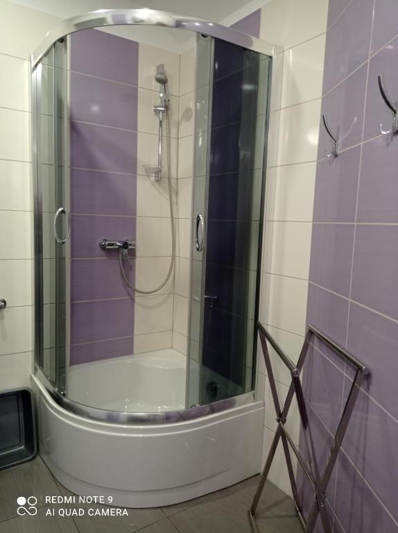 Kúpeľňa v ubytovaní Wypoczynek Pod Lasem