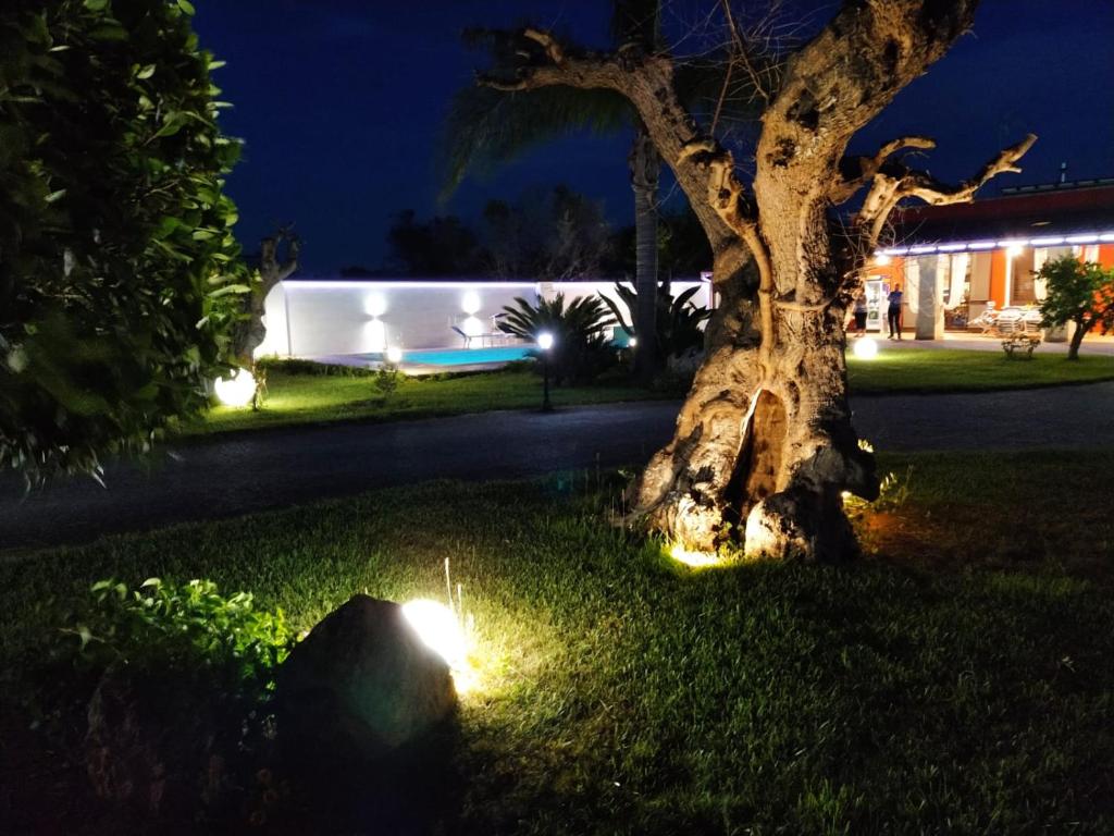 Zahrada ubytování Villa Federico