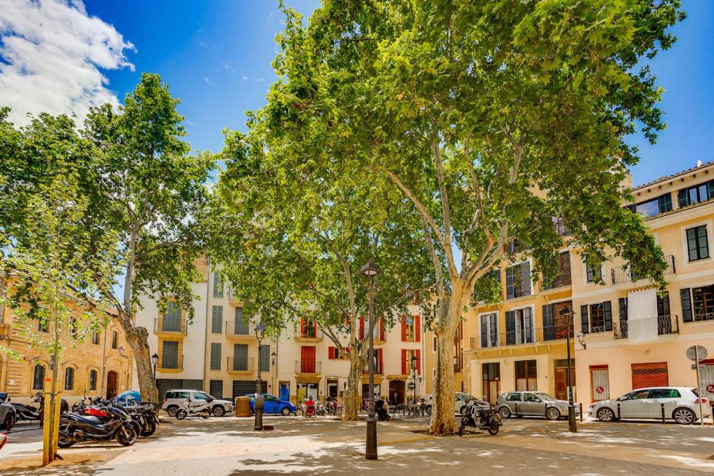 Budova, kde se apartmán nachází