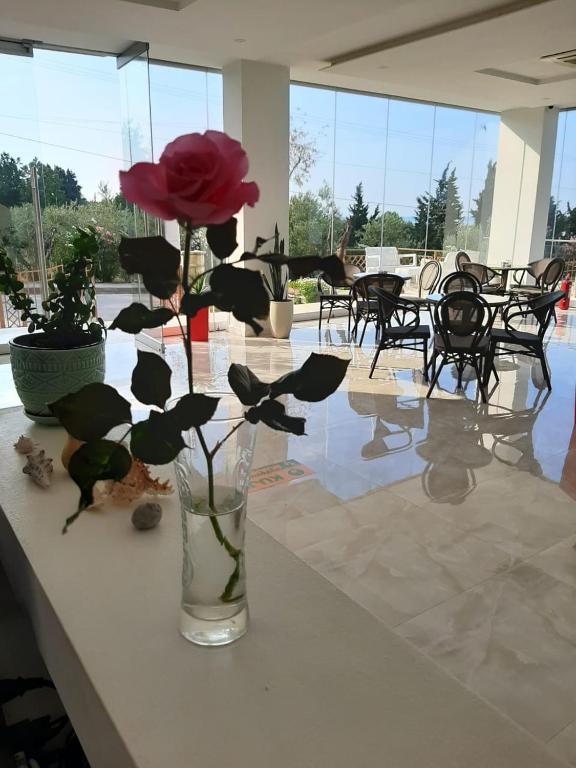 Restaurace v ubytování Hotel Orange