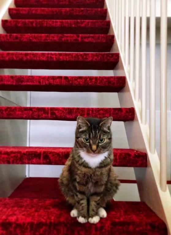 Amsterdam Downtown Hotel - Resim 28