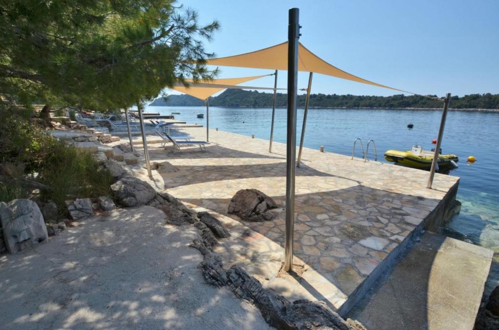 Příroda nedaleko apartmánu