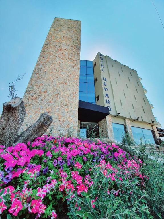 Zahrada ubytování Hotel Qeparo