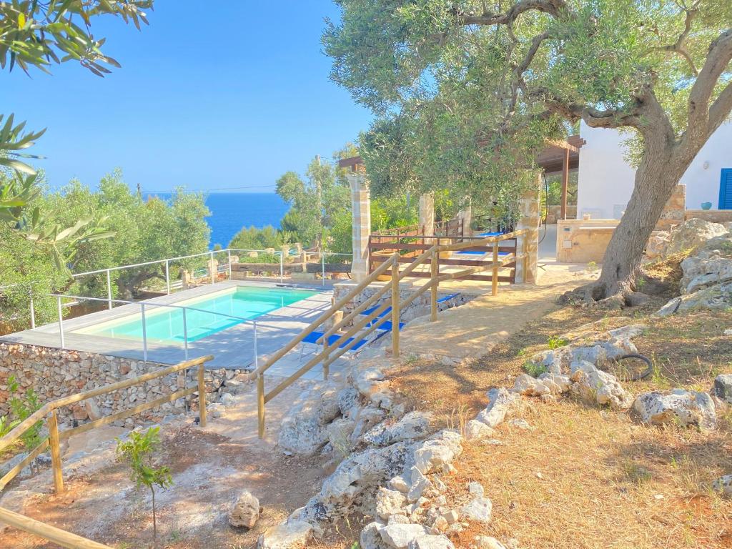 una casa con piscina y un árbol en Villa Aurora en Corsano