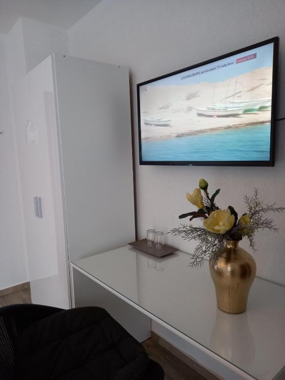 TV a/nebo společenská místnost v ubytování Garfild 1 Guest House