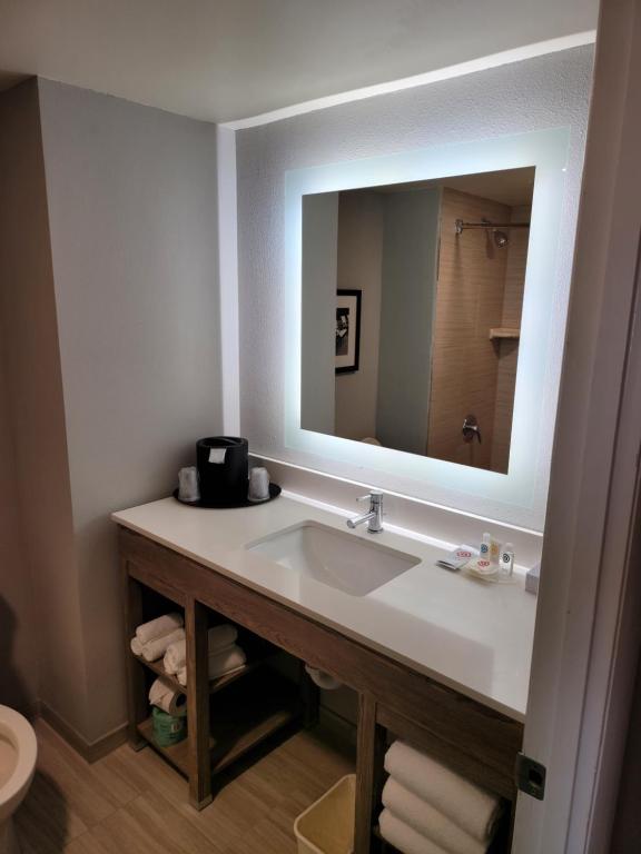 Comfort Inn & Suites Alexandria West - Room King Room - Non Fumatori